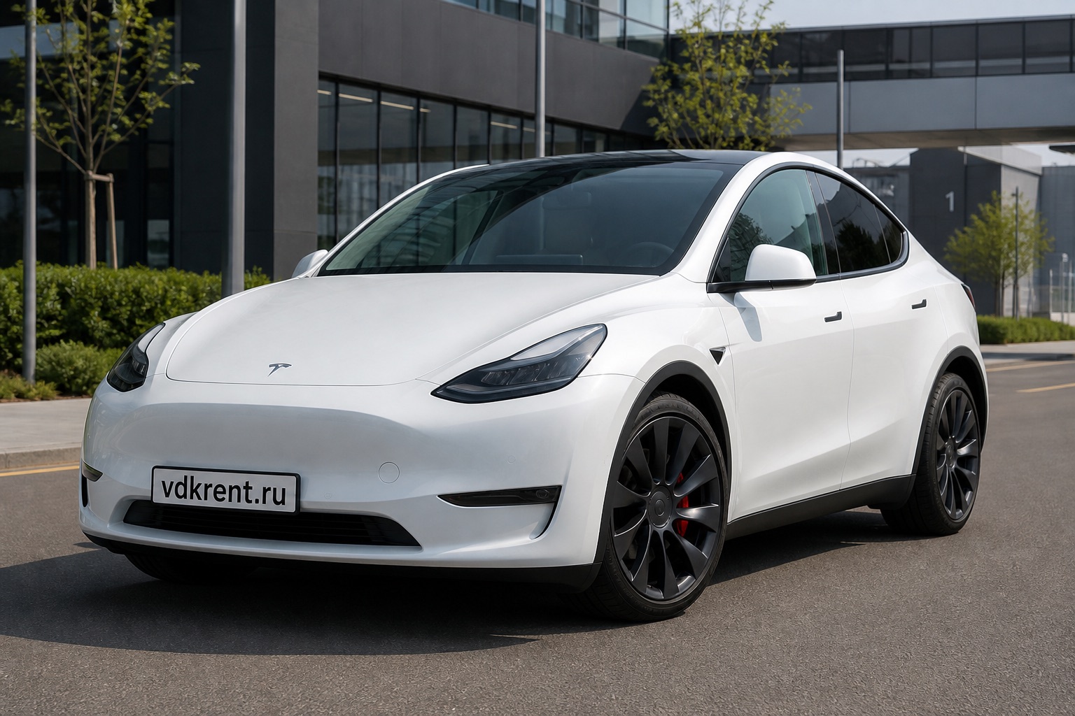 Tesla Model Y Performance